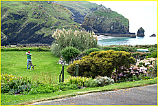 Cornwall Tourism Magazine - Doggy holidays in Cornwall - Mullion Cove Hotel - Copyright - Ed Stone Web Design